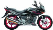 2006 Hero Honda Karizma photo